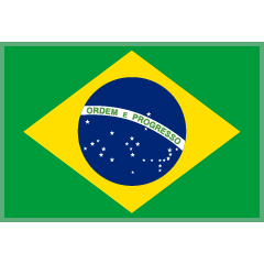 Flag: Brazil on Skype Emoticons 1.2